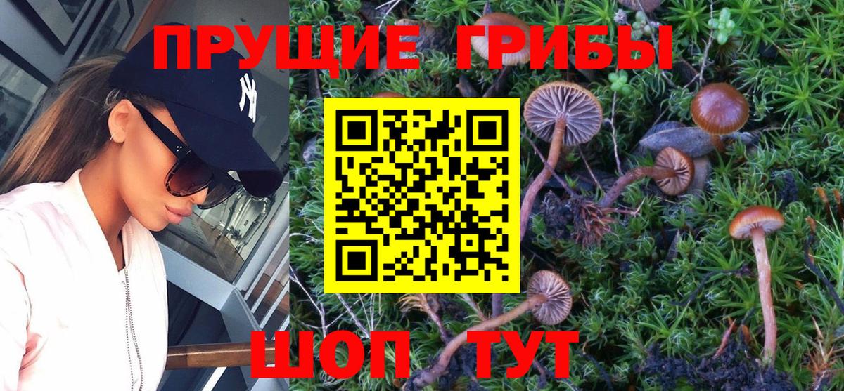 Псилоцибиновые грибы Magic Shrooms Красноуфимск